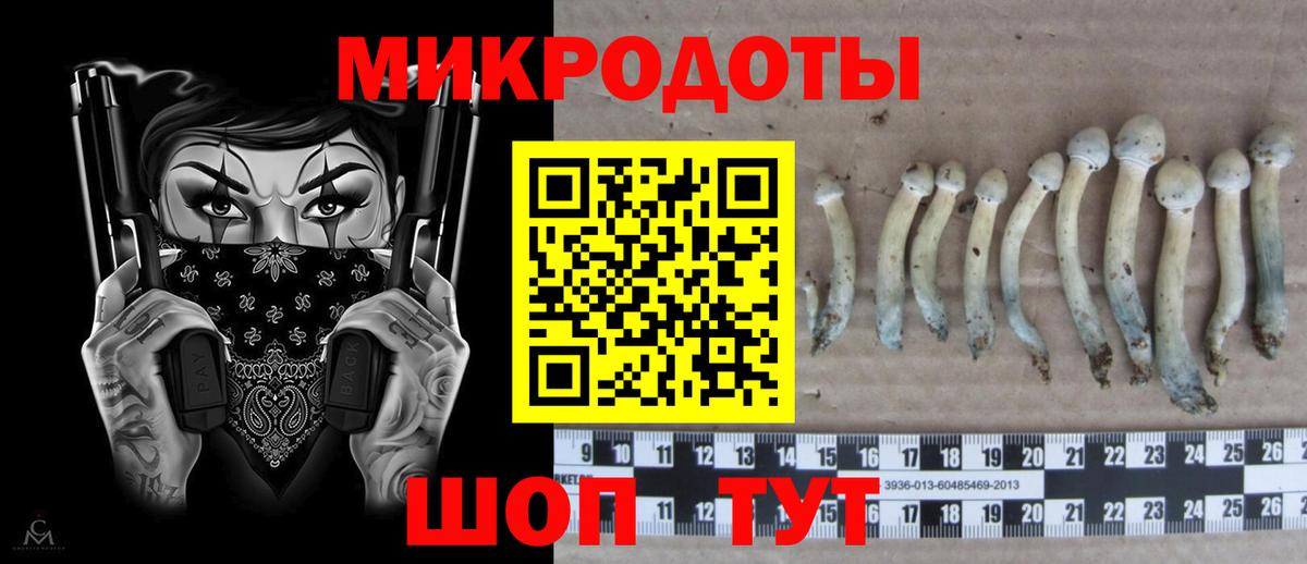магазин продажи   Псилоцибиновые грибы Psilocybine cubensis  Вход с VPN  Сызрань 